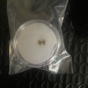 Gold Nugget in Clear Container